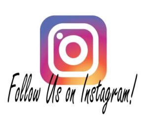 Vermillion Enterprises Follow Us on Instagram