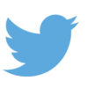 Twitter - Vermillion Enterprises